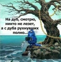 Смешные и познавательные картинки