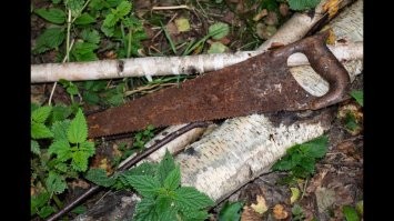 В Москве появился пешеходный переход будущего