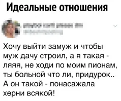 Скрины из соцсетей