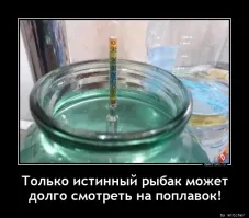 Смешные и познавательные картинки