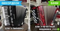 И то, и другое - ручная гармоника