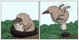 Девушка забыла убрать "шасси"