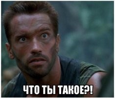 Так ты Игорь или Люся?