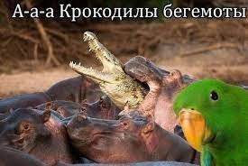 На позитиве