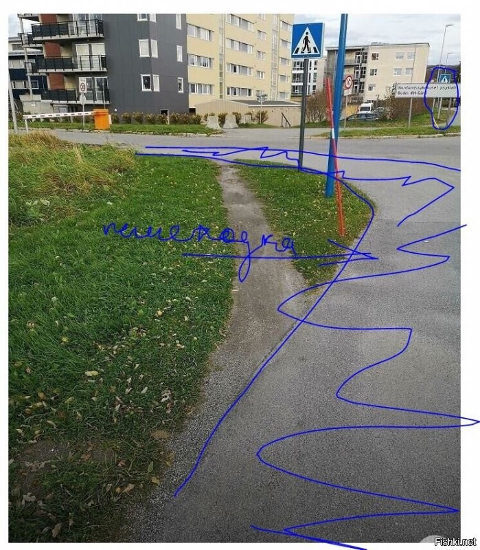 я не знаю, ты может быть слабовидящий, но на фото присутствует пешеходный тротуар шириной метра два с половиной, и ясно видна линия белого бордюра, разграничивающая его с проезжей частью. а знаки пешеходного перехода стоят за тротуаром на обеих сторонах улицы, видимо, в этой стране так принято, но к проблеме тропинки это вообще отношения не имеет