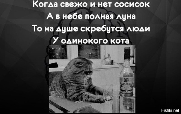 Солянка от 11.11.2021