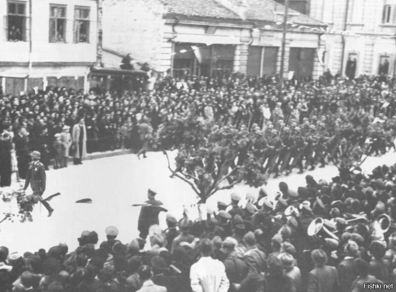 Официально Югославия воевала с СССР. 25 марта 1941 года правительство Югославии во главе с Драгишей Цветковичем, премьер-министром страны, и министром иностранных дел Александаром Цинцаром-Марковичем подписало договор о присоединении Югославии к Тройственному пакту стран «оси». в Сербии правительством Милана Недича был создан Сербский добровольческий корпус войск СС, командовал которым сербский генерал Константин Мушицкий. в Югославии много народа было против и они ушли к партизанам к Тито, и сербы, и хорваты, и словаки, и македонцы, но далеко не все. как только Тито умер, Югославия отвернулась от СССР и потом от РФ. Как только СССР ослаб и распался, все они наперегонки вступили в НАТО. а фото? набираете в гугле - жилели Будапешта, Вены, Белграда и тп встречают немецких солдат