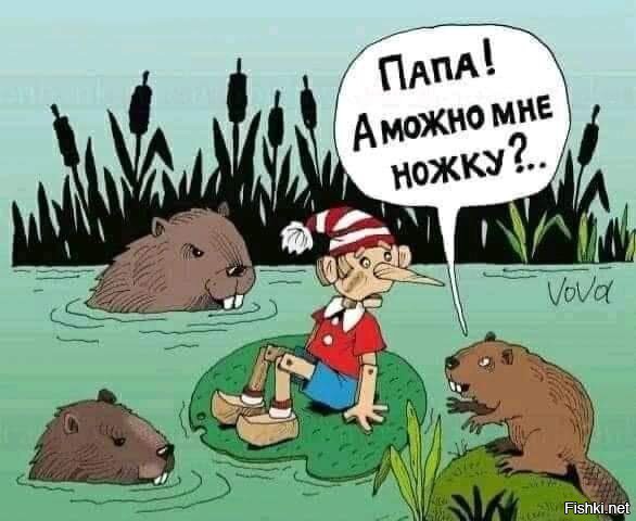 Смешные и познавательные картинки