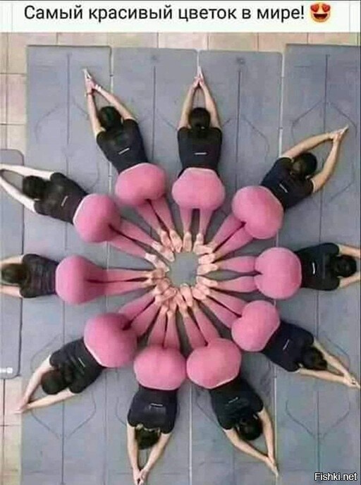 на жопу негра похоже