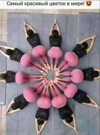 на жопу негра похоже