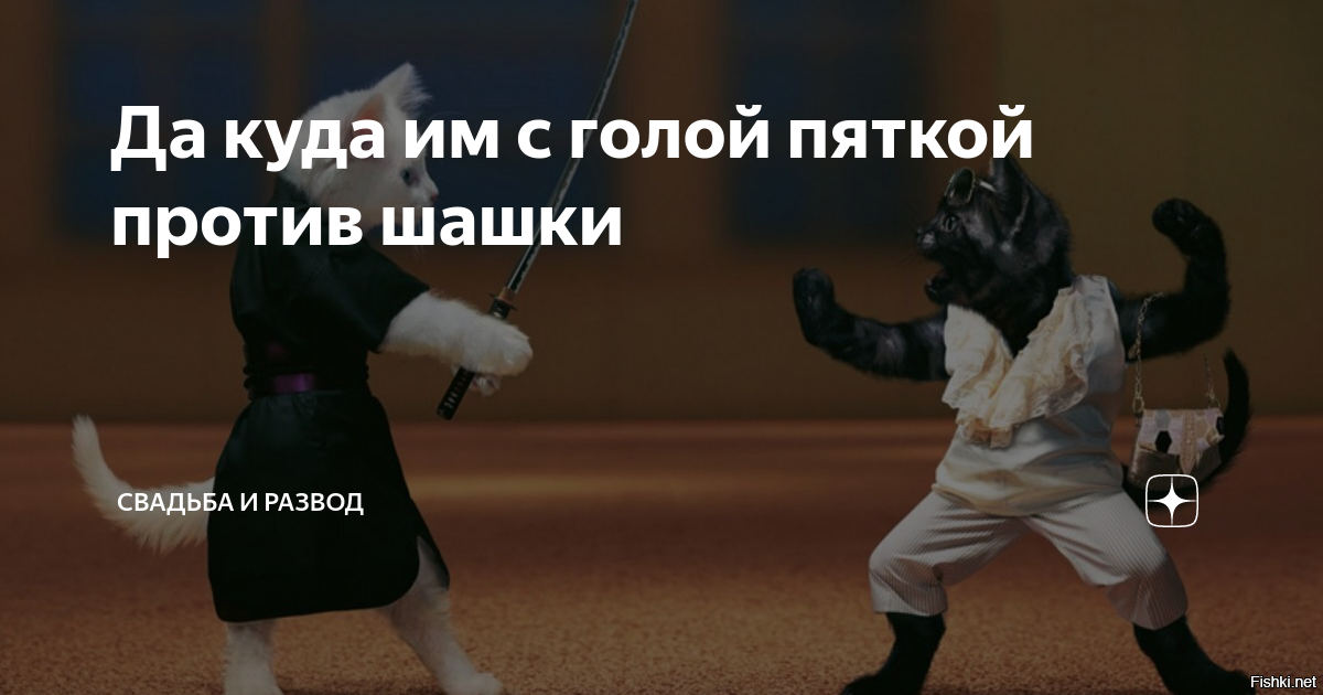 Однажды заезжий мастер фехтования