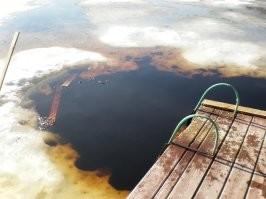 не знаю как в Бразилии , мы чаем завариваем