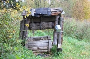 Деревня вымерла, последние жители были здесь в 2000-е, а ведро, наверное, в петлю времени попало - за столько лет даже не потемнело.