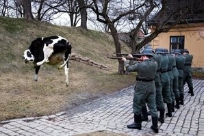 У меня одноклассник бросил довольно успешную работу в фирме и проработал больше года бойцом скота.  После этой работы открыл своё дело. 
 Что-то там есть...