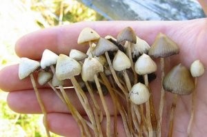 Художник превращает грубые наброски в потрясающие работы