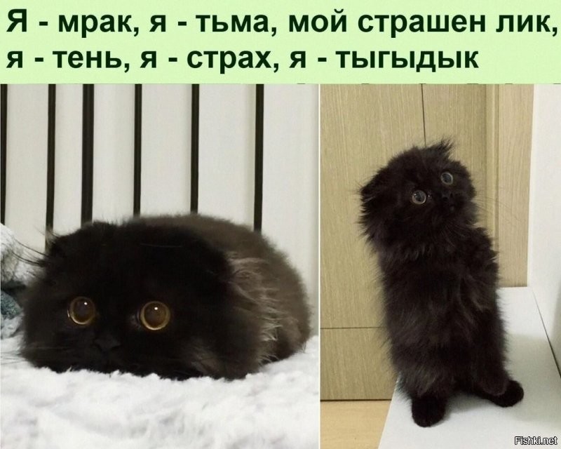 Оксана, ролик для тебя
