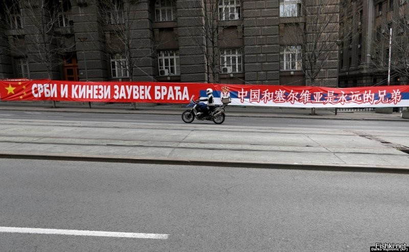 Ничего против сербов лично, у них свои интересы и они успешно их бледут. Но вот непонятна слепая вера в РФ в то, что раз серб - значит это наш. Сербы ВСЕГДА пользовались положением, и во времена СЭВ они небыли в СЭВ а ездили на заработки в Германию, и в новейшее время - например, при приезде китайских "товарищей"  окрашивают столицу в китайские флаги и пишут, что "Сербы и китайцы - братья навечно" или "Спасибо, Брат Си" (пруфы ниже). Большинство сербов сегодня за вступление в ЕС, но не в Евразийский Союз. Да и их премьер-министр Анна Брабич (погуглите) ну никак на "скрепы" не тянет.  Но вот всегда как-то успевают на двух стульях сидеть и раньше и сейчас. И когда с нами общаются, всегда в вечной любви и руским клянутся. И нам тоже говорят, что братья точно также, как и немцам и китайцам. Ну а по фоточке и коменту - так почему они в кафе Цюриха схлестнулись, если правда? А почему не Минска, Астаны или Москвы или Гонк-Гонга? Неужели Раде Станич в Цюрих поехал просто пилоту морду набить?

Ну и фоточки про "наших братьев" и их официоз на их улицах: