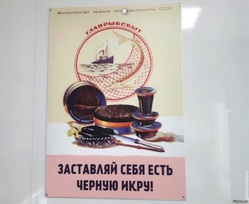 Специфический пятничный юмор