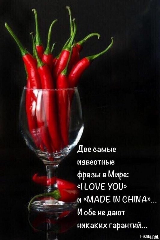 Солянка от 13.11.2021