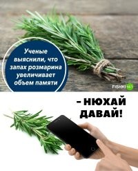 Может имелась в виду гидроцефалия