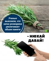 Нахрена вам на телефоне столько памяти? Вон коллеги ноют, ой мои 500 гигов кончились. ЧИВОЛЯТЬ??? У меня "родная память" 32 гига, из них забито 18-19. Всё, нахрен больше не надо. Что вы там качаете?