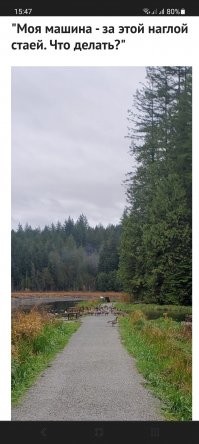 Стреляться. Другого выхода нет.