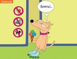 Идеального магазина не существует, говорили они