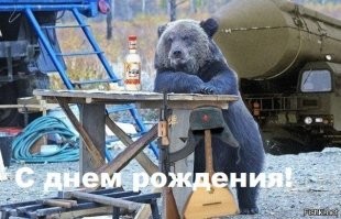 Медведи - всегда такие медведи 