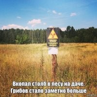 Почему в чернобыльской зоне живут и процветают животные