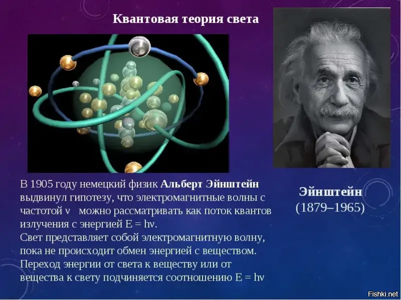 Солянка от 14.11.2021