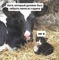 Ну похож же. Чё докопались.
