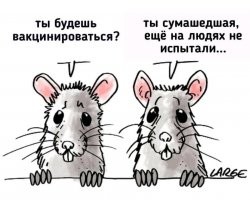 Первая акция протеста против QR-кодов в России