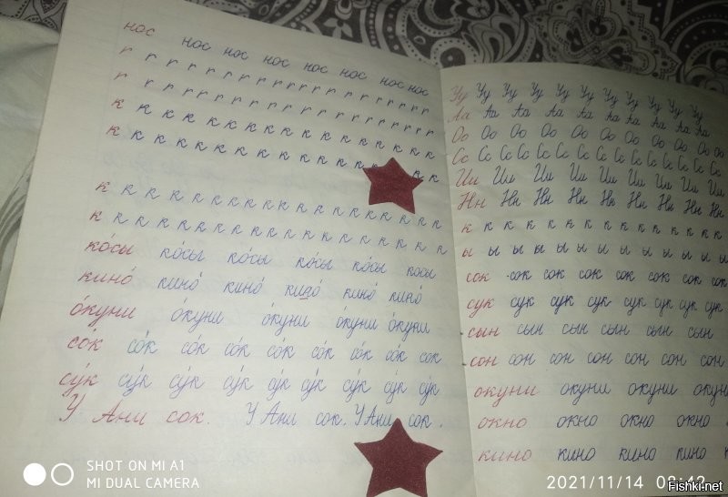 Валентина, я обещал показать (про чистописание) вот моя тетрадка