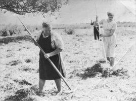 Крестьяне особой разницы не заметили