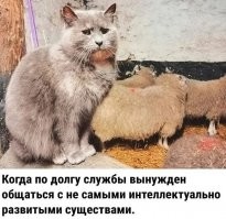 Прям я на работе с сотрудниками - жертвами ЕГЭ