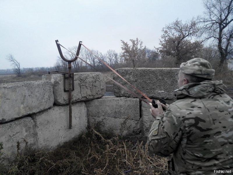 Рогульё уже это воплотило в жизнь.