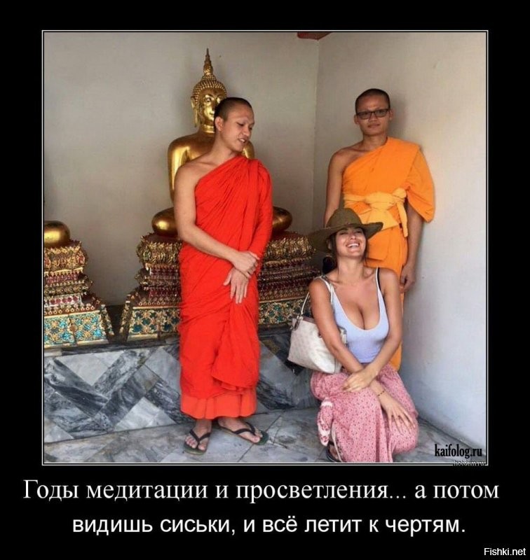 Солянка от 15.11.2021