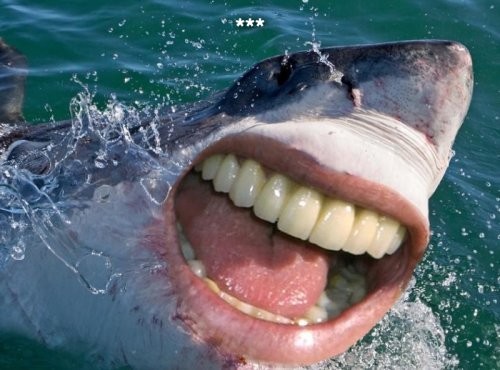 Специфический пятничный юмор