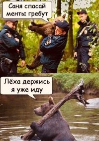 Всё вразнобой