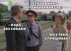 А у вас, гражданочка, почему маска на голове?
