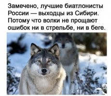 Почему именно выходцы из Сибири?