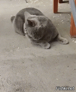 -чё за нах