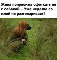 Даже самый умный пёс не умеет разговаривать. И чего вы хотите от беспородной суки?