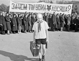 Почему лосю нелегко жить зимой: 9 особенностей из жизни «сохатого»