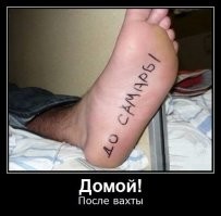Один хрен