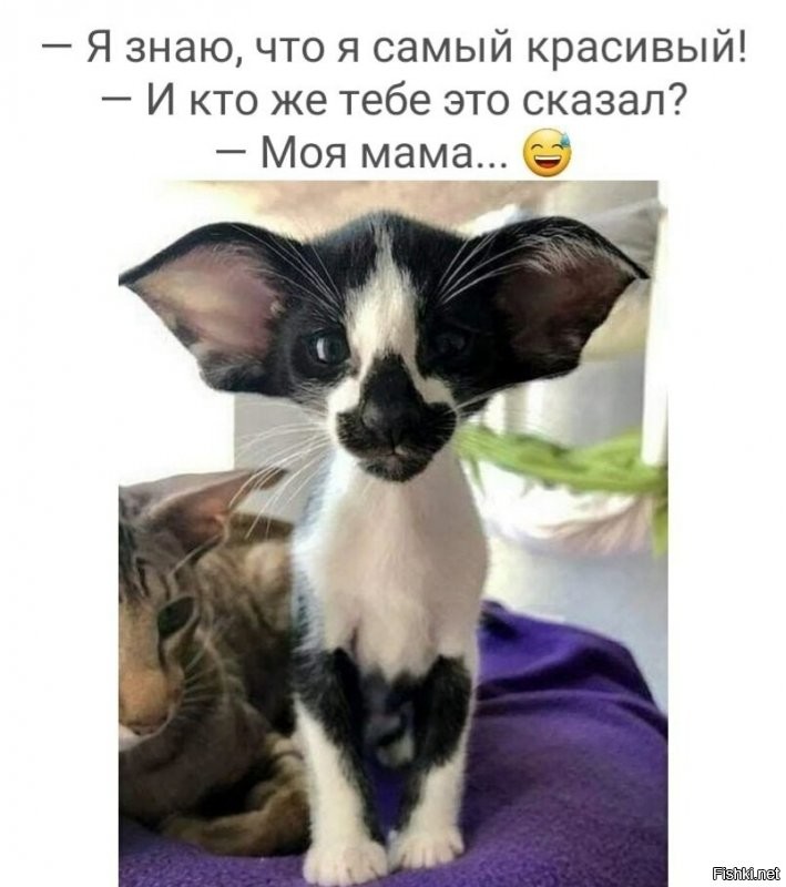 хоть кому-нибудь могу понравится