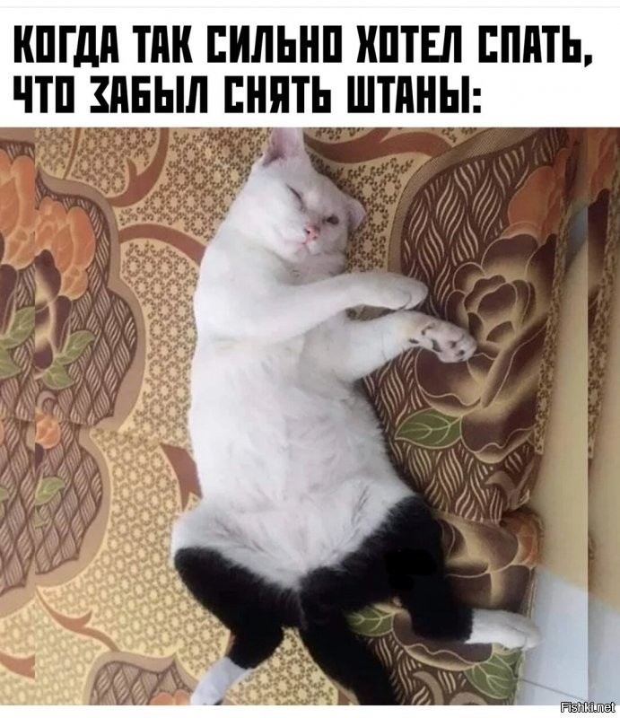Солянка от 17.11.2021