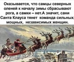 Смешные и познавательные картинки