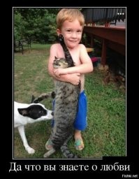 знаем знаем, хороший котик !  Главное что бы потом не было вот так ...