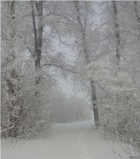 Ну вот ко мне на работу дорожка. Только я уж и не помню когда такое было...